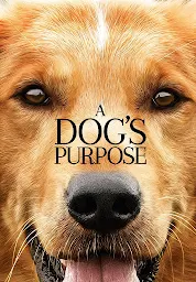 Значок приложения "A Dog's Purpose"