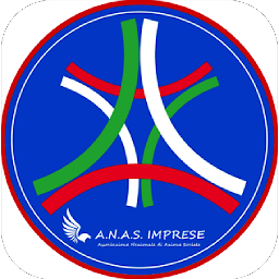 Значок приложения "ANAS Imprese"
